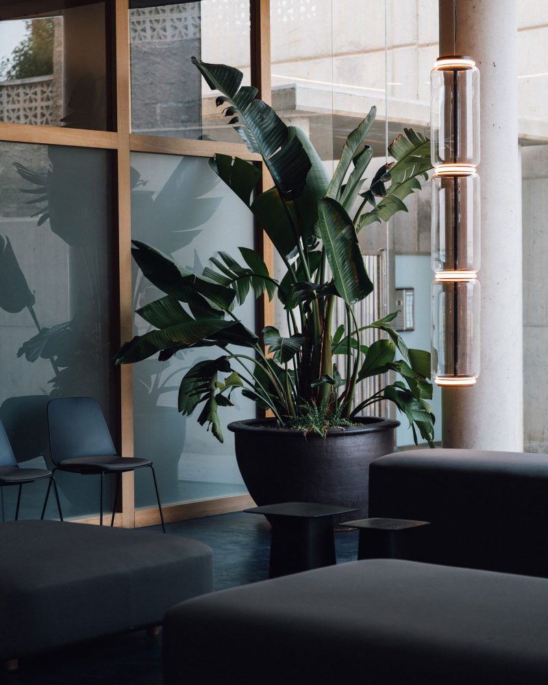 planta-en-salita-clinica-idem